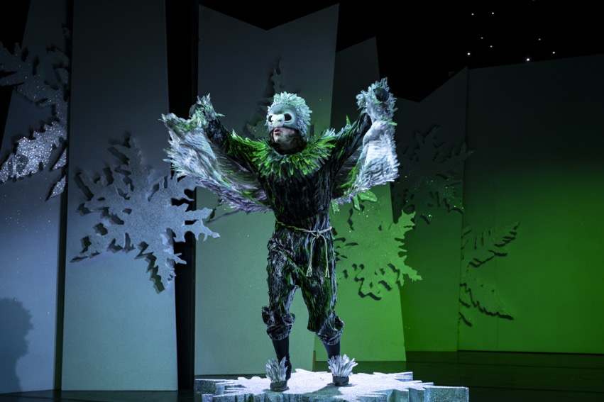 STR-Schneekönigin-A.N.-2731